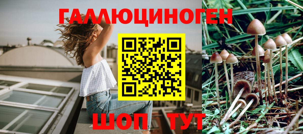 Галлюциногенные грибы Magic Shrooms Карталы