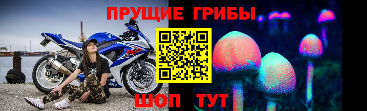 Галлюциногенные грибы Cubensis  Вход с VPN  Карталы  Галлюциногенные грибы Magic Shrooms 